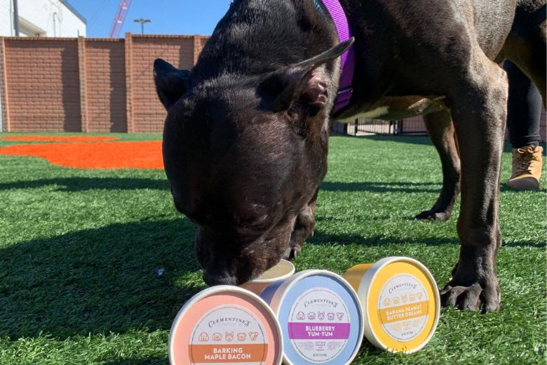 Clementine's Naughty and Nice Creamery serves pup cups to dogs.